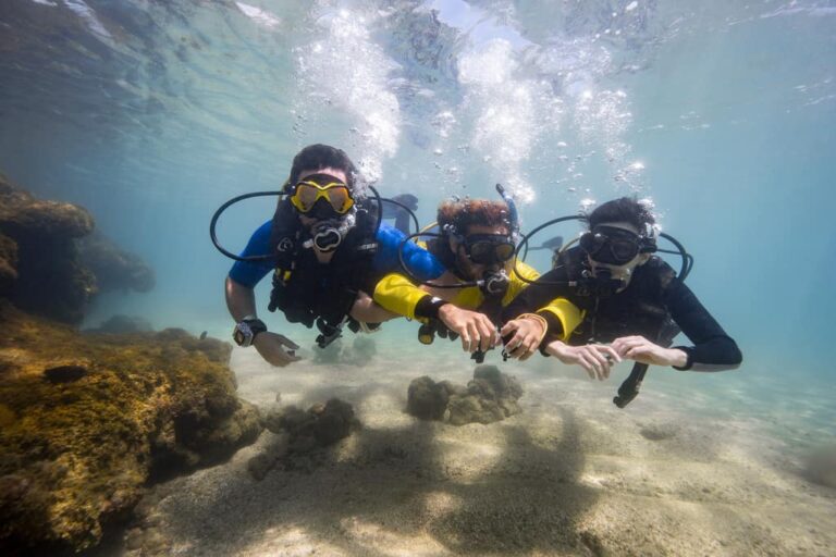 BUCEO EN PORTO DE GALINHAS