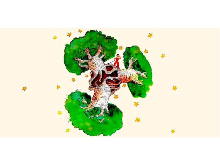 Baobab (Baobá) Árbol